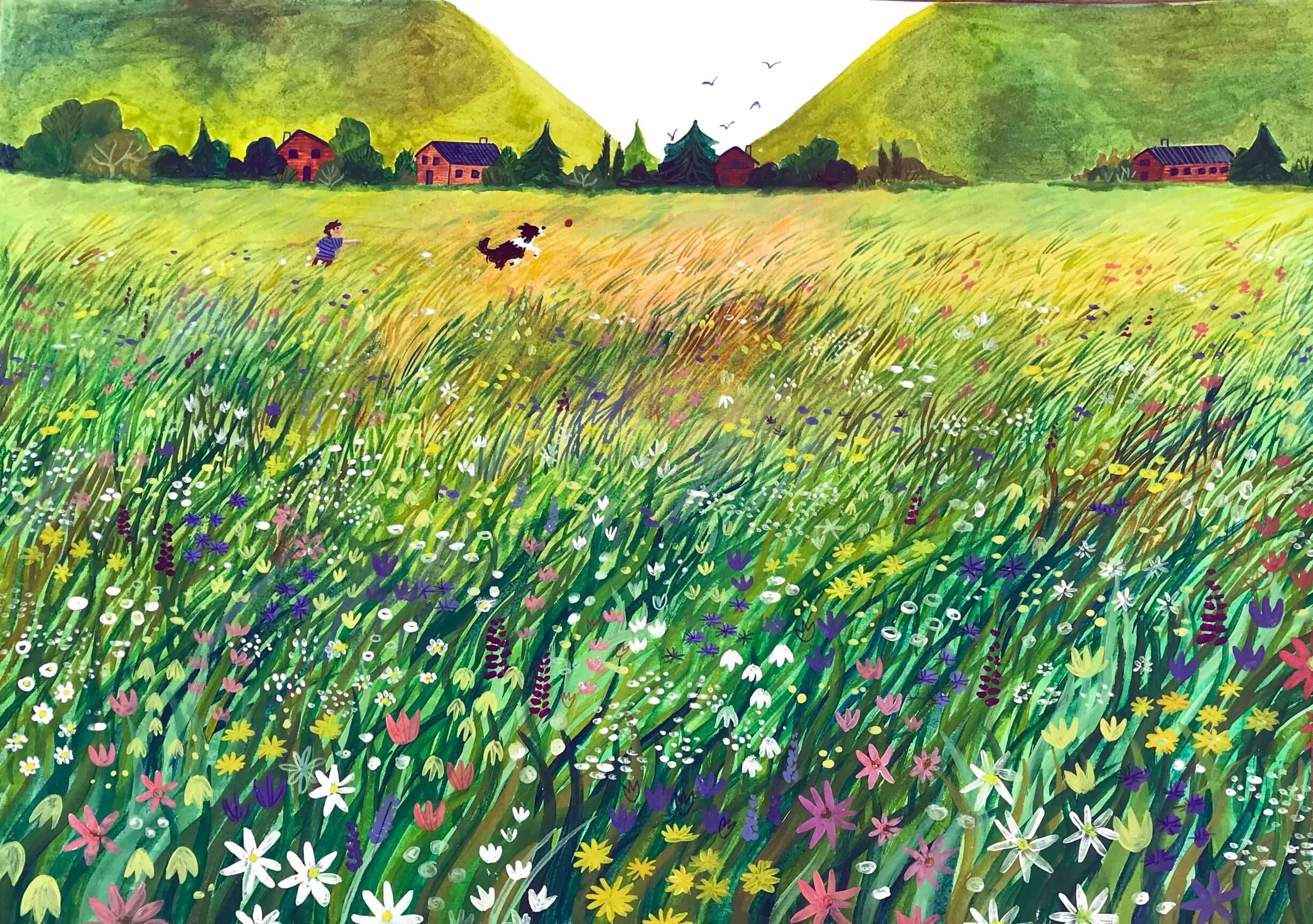 May Flowers